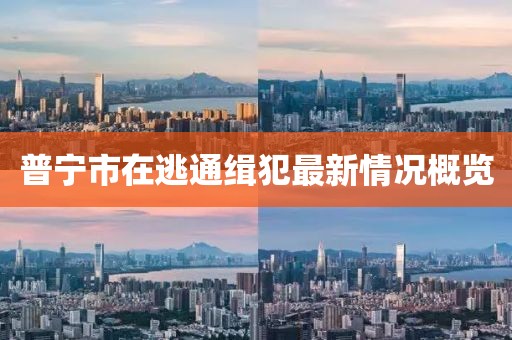 普宁市在逃通缉犯最新情况概览