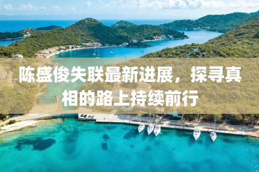 陈盛俊失联最新进展，探寻真相的路上持续前行