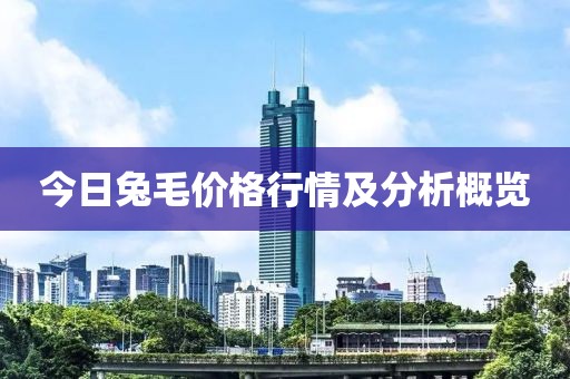 今日兔毛价格行情及分析概览