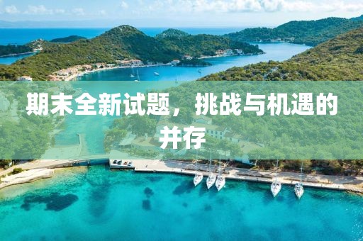 期末全新试题，挑战与机遇的并存