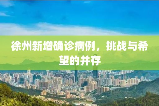 徐州新增确诊病例，挑战与希望的并存
