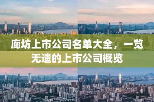 廊坊上市公司名单大全，一览无遗的上市公司概览