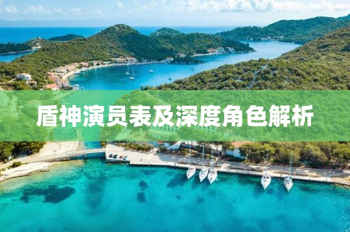 盾神演员表及深度角色解析