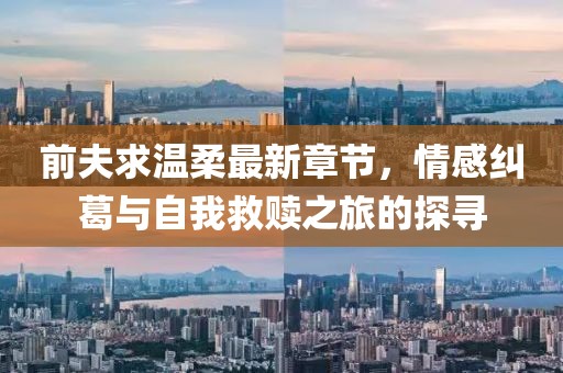 前夫求温柔最新章节，情感纠葛与自我救赎之旅的探寻