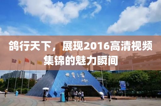 鸽行天下，展现2016高清视频集锦的魅力瞬间
