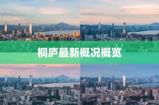 桐庐最新概况概览