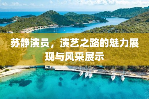 苏静演员，演艺之路的魅力展现与风采展示