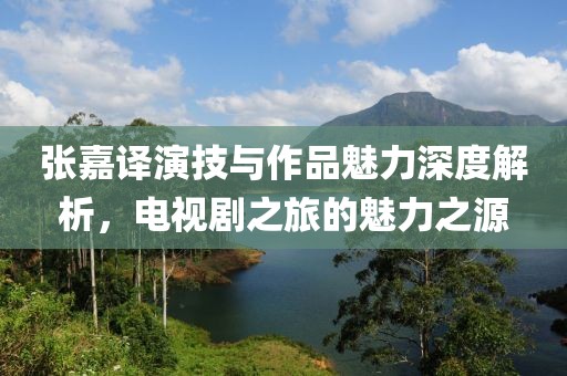 张嘉译演技与作品魅力深度解析，电视剧之旅的魅力之源