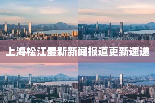 上海松江最新新闻报道更新速递