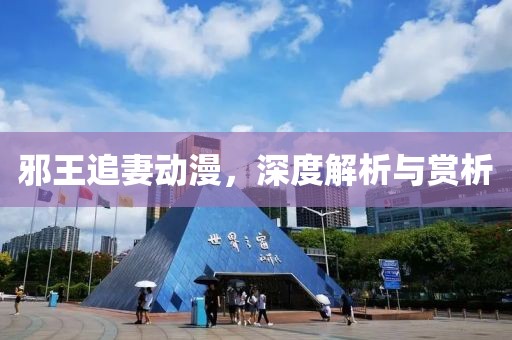 邪王追妻动漫，深度解析与赏析