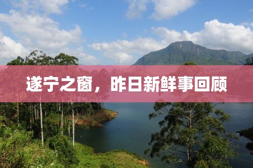 遂宁之窗，昨日新鲜事回顾