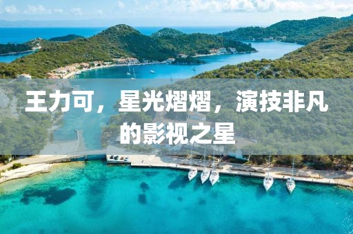 王力可，星光熠熠，演技非凡的影视之星