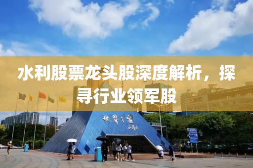 水利股票龙头股深度解析，探寻行业领军股