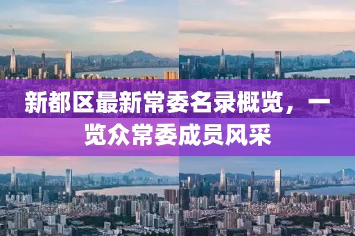 新都区最新常委名录概览，一览众常委成员风采
