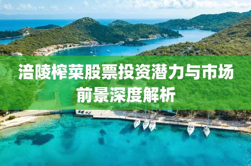 涪陵榨菜股票投资潜力与市场前景深度解析