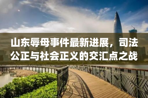 山东辱母事件最新进展，司法公正与社会正义的交汇点之战