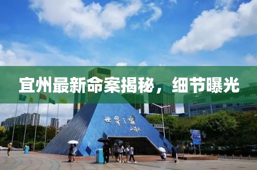 宜州最新命案揭秘，细节曝光