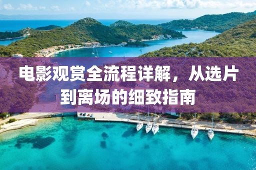 电影观赏全流程详解，从选片到离场的细致指南