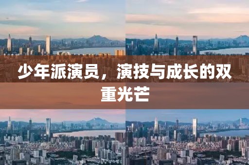 少年派演员，演技与成长的双重光芒