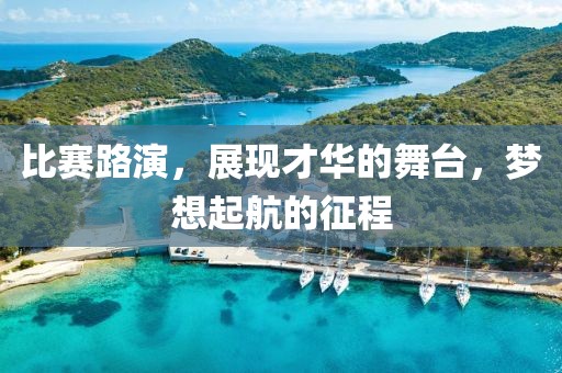 比赛路演，展现才华的舞台，梦想起航的征程