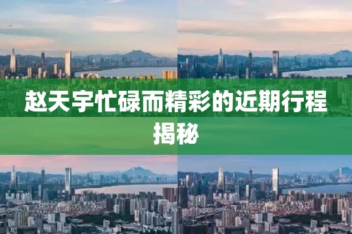 赵天宇忙碌而精彩的近期行程揭秘