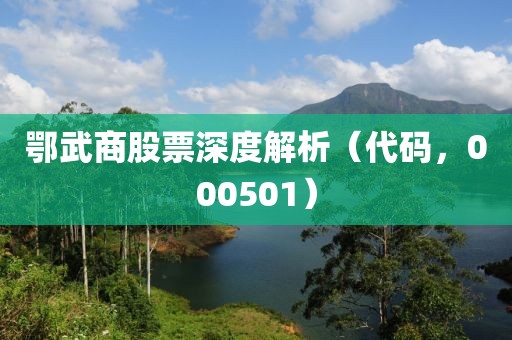 鄂武商股票深度解析（代码，000501）