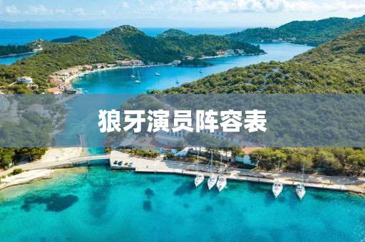 狼牙演员阵容表