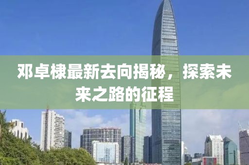邓卓棣最新去向揭秘，探索未来之路的征程