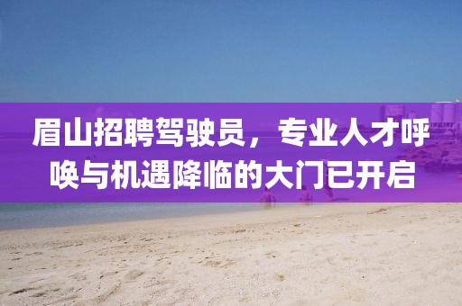 眉山招聘驾驶员，专业人才呼唤与机遇降临的大门已开启