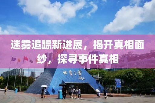 迷雾追踪新进展，揭开真相面纱，探寻事件真相