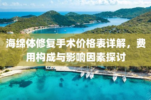 海绵体修复手术价格表详解，费用构成与影响因素探讨