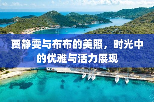 贾静雯与布布的美照，时光中的优雅与活力展现