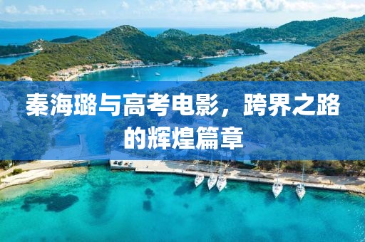秦海璐与高考电影，跨界之路的辉煌篇章
