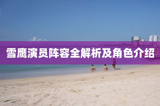 雪鹰演员阵容全解析及角色介绍