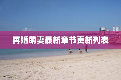 再婚萌妻最新章节更新列表