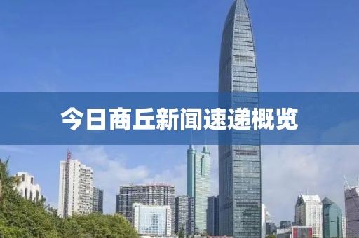 今日商丘新闻速递概览