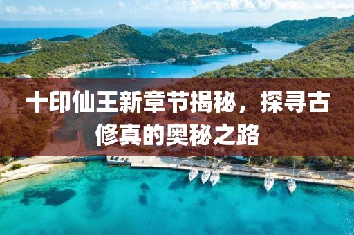十印仙王新章节揭秘，探寻古修真的奥秘之路