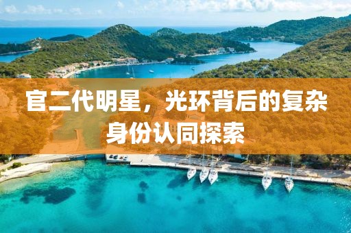 官二代明星，光环背后的复杂身份认同探索