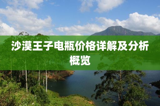沙漠王子电瓶价格详解及分析概览