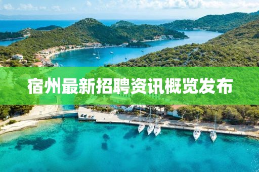 宿州最新招聘资讯概览发布