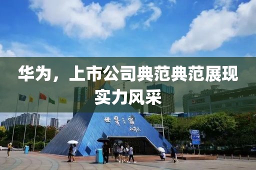 华为，上市公司典范典范展现实力风采
