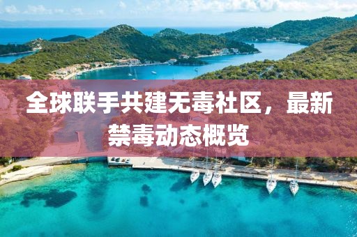 全球联手共建无毒社区，最新禁毒动态概览