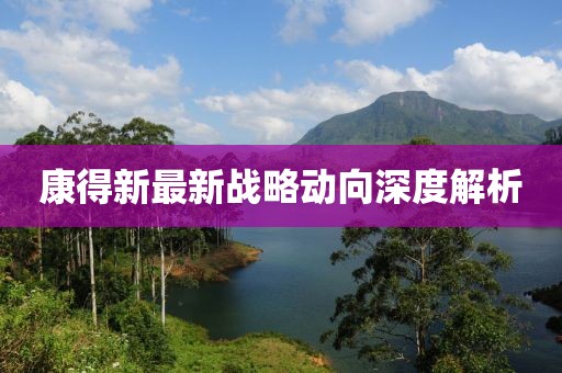 康得新最新战略动向深度解析