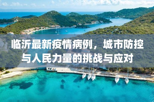 临沂最新疫情病例，城市防控与人民力量的挑战与应对