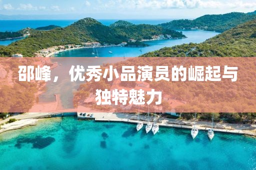 邵峰，优秀小品演员的崛起与独特魅力