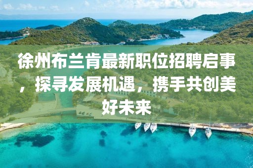 徐州布兰肯最新职位招聘启事，探寻发展机遇，携手共创美好未来