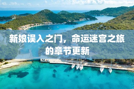 新娘误入之门，命运迷宫之旅的章节更新