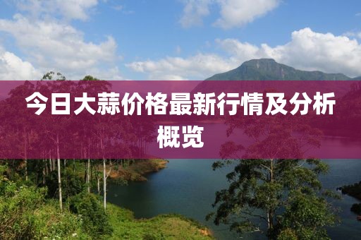 今日大蒜价格最新行情及分析概览