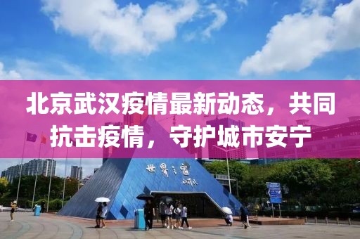 北京武汉疫情最新动态，共同抗击疫情，守护城市安宁