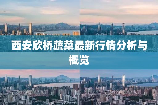 西安欣桥蔬菜最新行情分析与概览